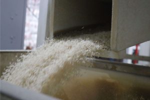 مثل یک حرفه‌ای برنج بخرید:تمام نکاتی که قبل از انتخاب برنج ایرانی باید بدانید...