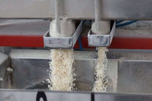 مثل یک حرفه‌ای برنج بخرید:تمام نکاتی که قبل از انتخاب برنج ایرانی باید بدانید...