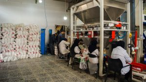 سفره: از یک دهه تجربه تا بزرگترین فروشگاه اینترنتی برنج در ایران