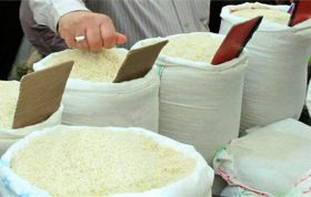 انواع برنج ایرانی پر محصول