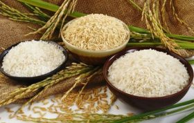 مهم ترین فرق برنج صدری و هاشمی که باید بدانید