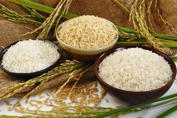مهم ترین فرق برنج صدری و هاشمی که باید بدانید