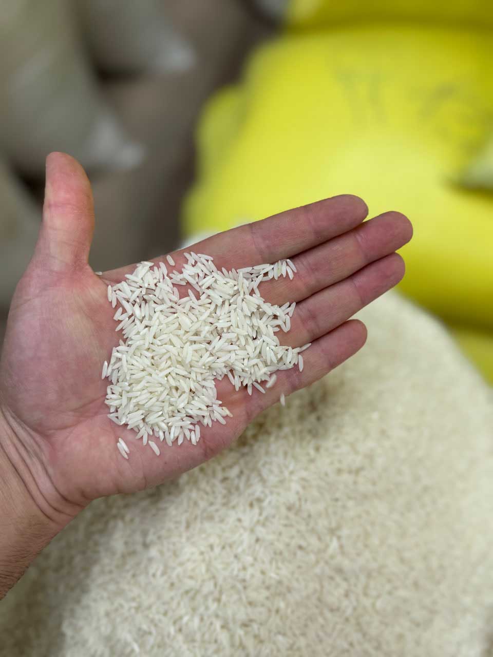 خواص برنج هاشمی گیلان