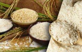 بهترین برنج عطری ایران کدام است؟ بررسی تخصصی