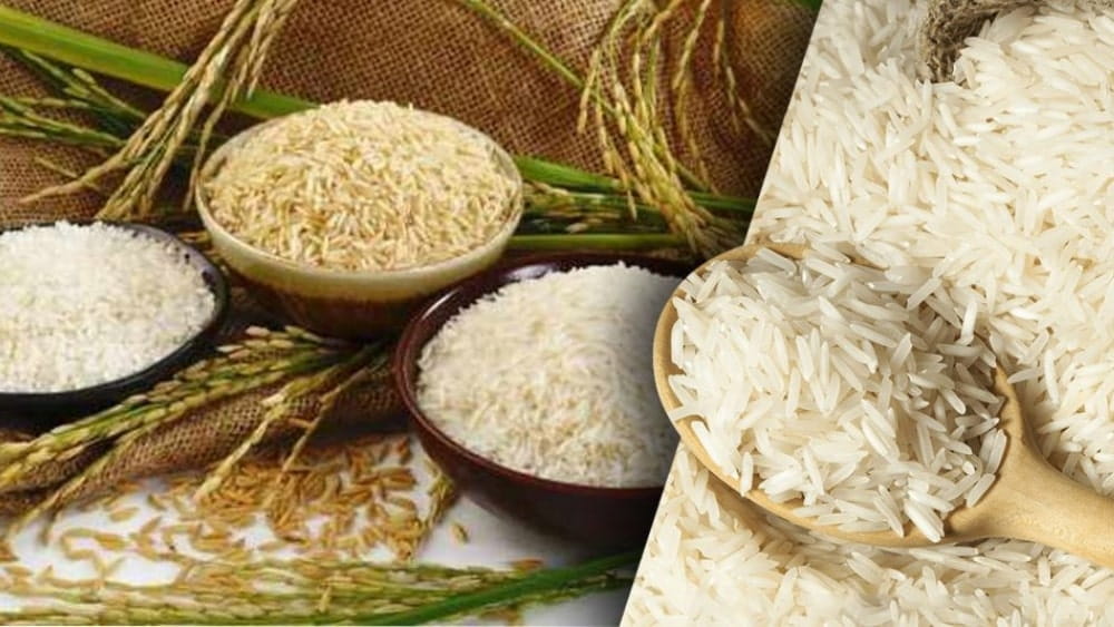 بهترین برنج عطری ایران کدام است؟ بررسی تخصصی