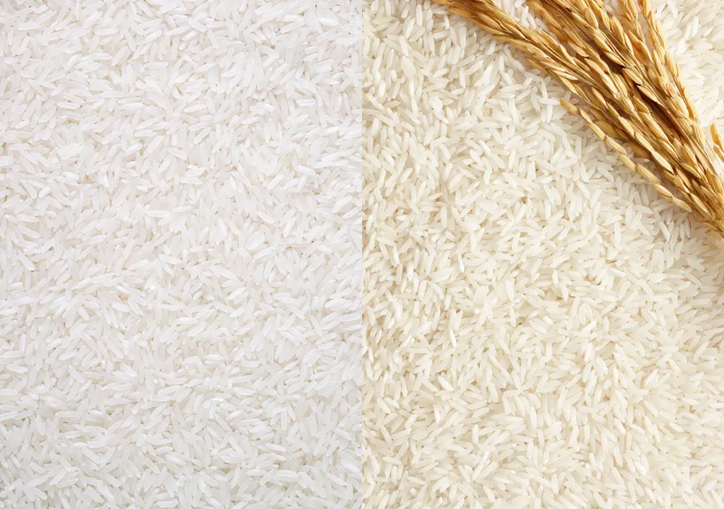 تفاوت برنج هاشمی و طارم؛ کدام بهتر است؟