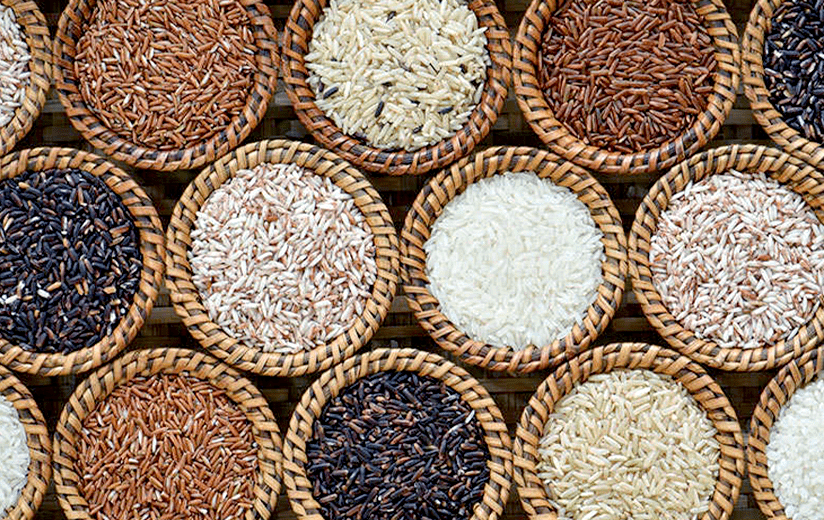 چرا قیمت برنج در سال‌های مختلف تغییر می‌کند؟