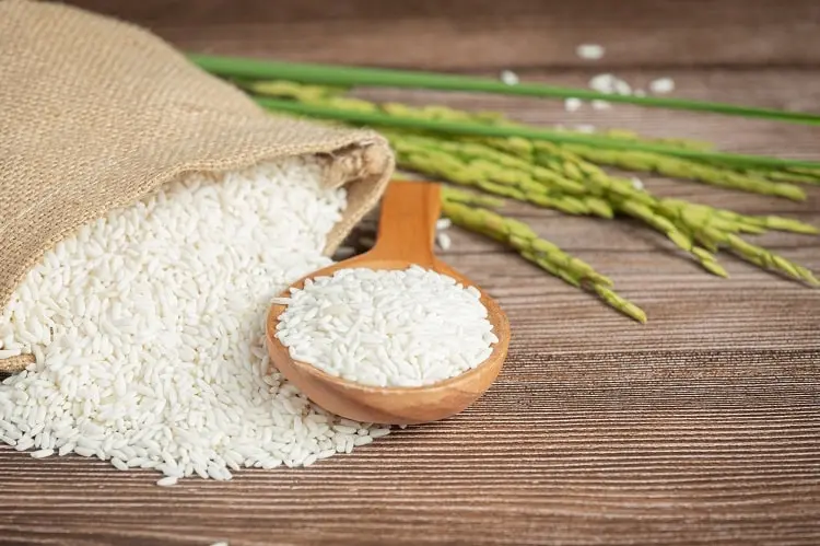 چگونه از فروشگاه اینترنتی برنج مطمئن خرید کنیم؟