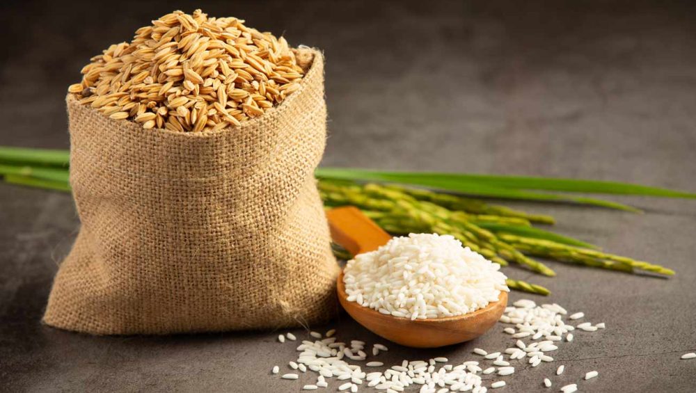 بهترین روش نگهداری برنج در خانه