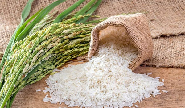 بهترین بستهبندی برنج ایرانی برای نگهداری طولانیمدت