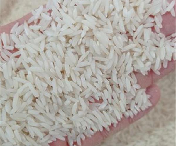 مقایسه برنج صدری با سایر برنج‌های شمال