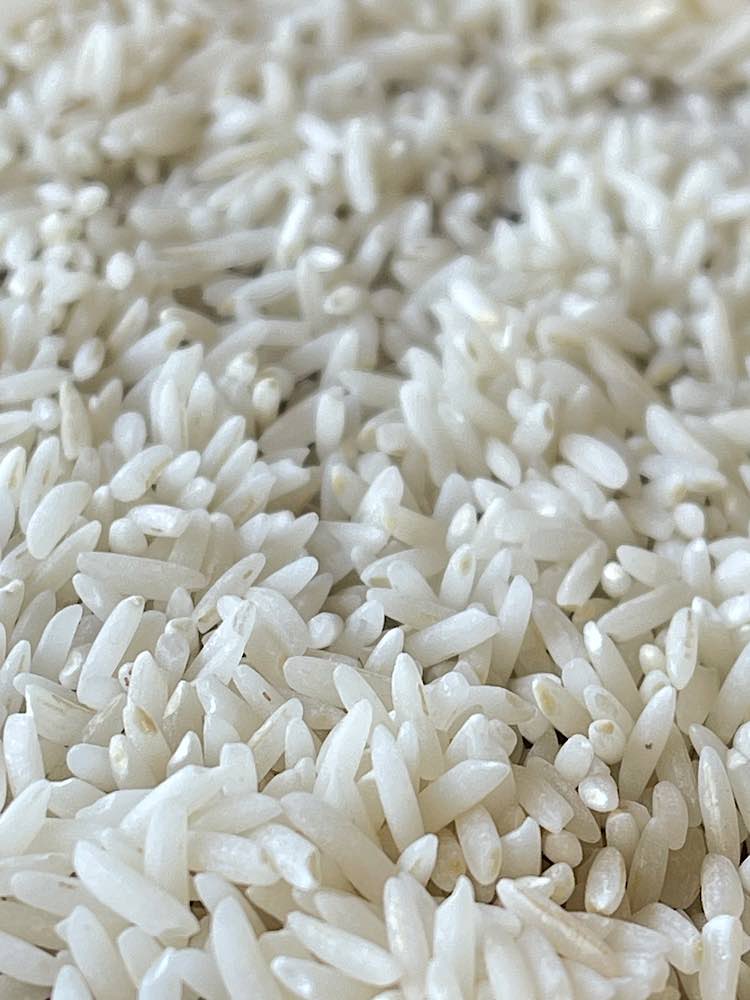 برنج هاشمی چیست؟ معرفی کامل این برنج اصیل گیلانی