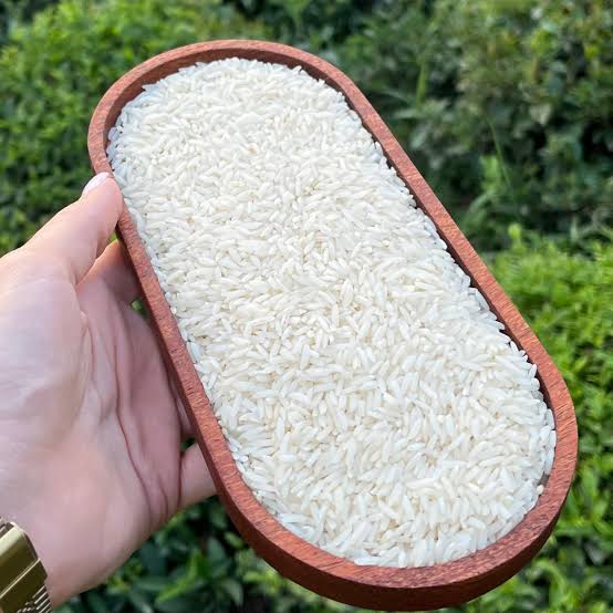 برنج هاشمی کشت اول یا کشت دوم؟ کدام یک برای شما مناسب‌تر است؟