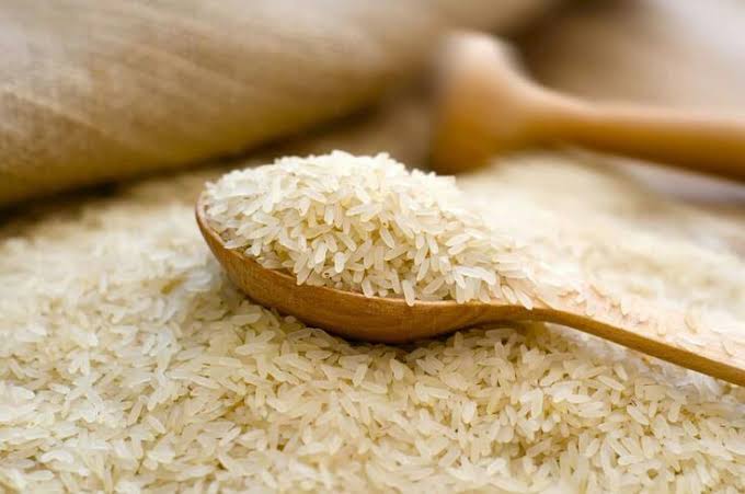 برنج علی کاظمی گیلان؛ عطری متفاوت از دل شالیزار