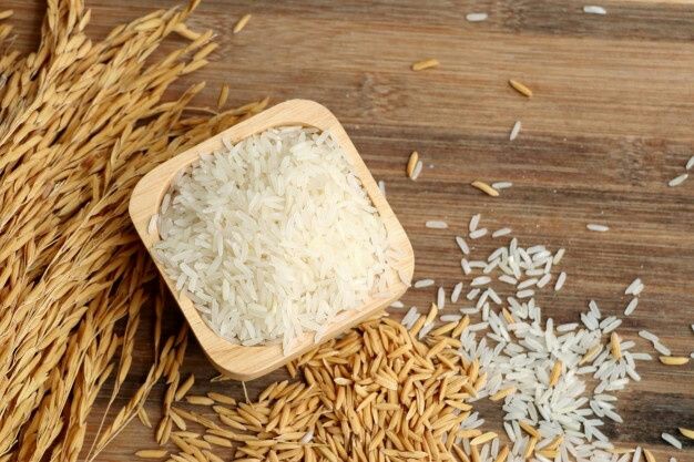 معرفی ۸ نوع برنج برتر گیلان | خرید برنج اصل گیلان از سفره رایس