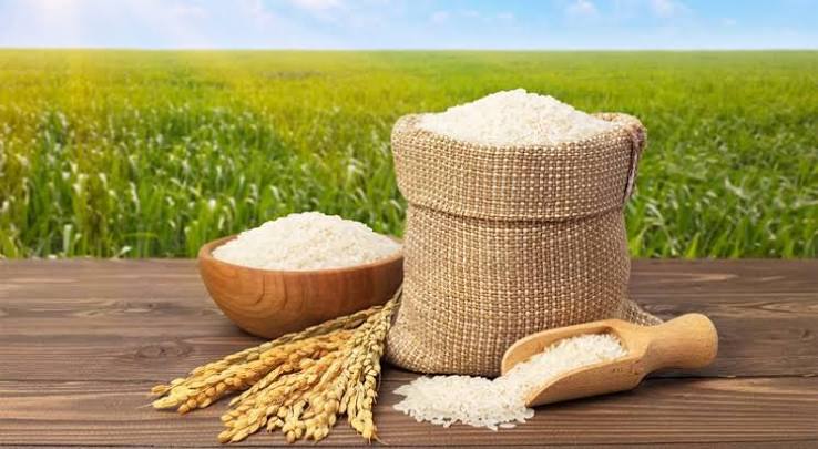 کدام برنج را بخریم؟ راهنمای انتخاب سریع و مطمئن