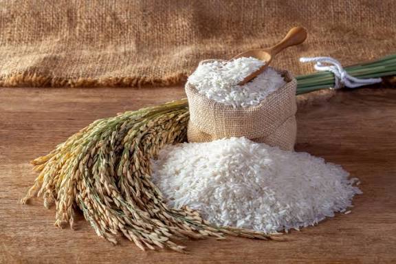 کدام برنج را بخریم؟ راهنمای انتخاب سریع و مطمئن