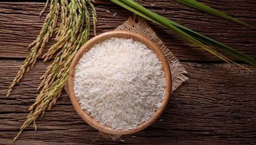 کدام برنج را بخریم؟ راهنمای انتخاب سریع و مطمئن
