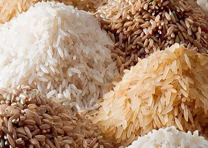 معرفی ۸ نوع برنج برتر گیلان | خرید برنج اصل گیلان از سفره رایس