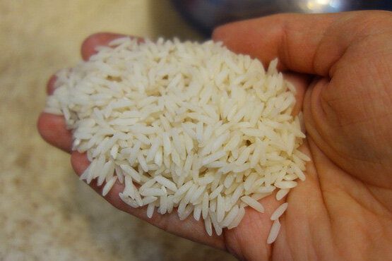 راهنمای کامل خرید برنج صدری اصل