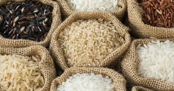بهترین برنج برای خرید عمده و مصرف روزانه کدام است؟