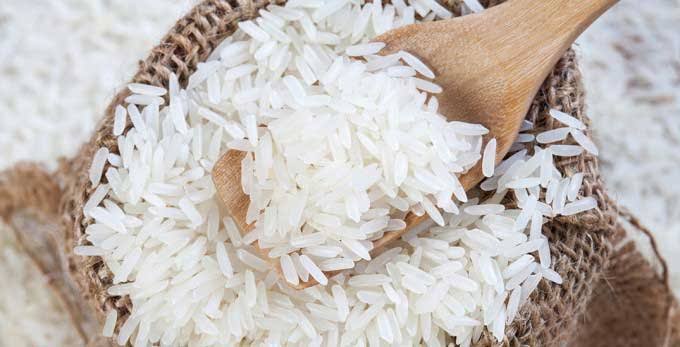 راهنمای خرید برنج اصل شمال؛ کدام برنج برای سفره شما بهتر است؟