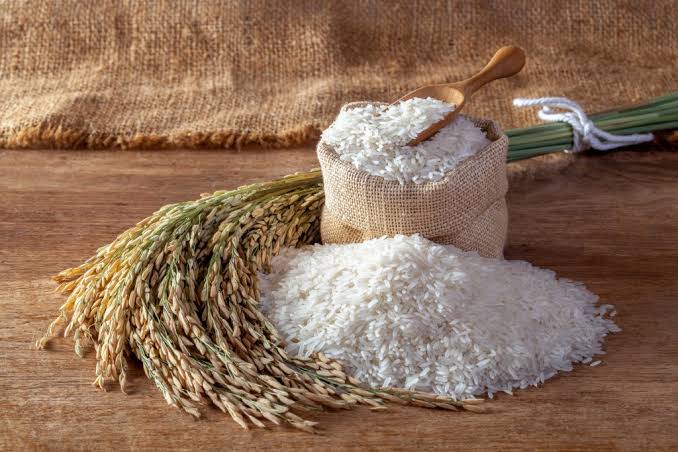 خرید برنج معطر شمال؛ بهترین انتخاب برای مهمانی و مصرف روزانه