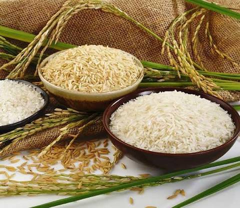 برنج سفید یا برنج قهوه‌ای؛ کدام برای سلامتی بهتر است؟
