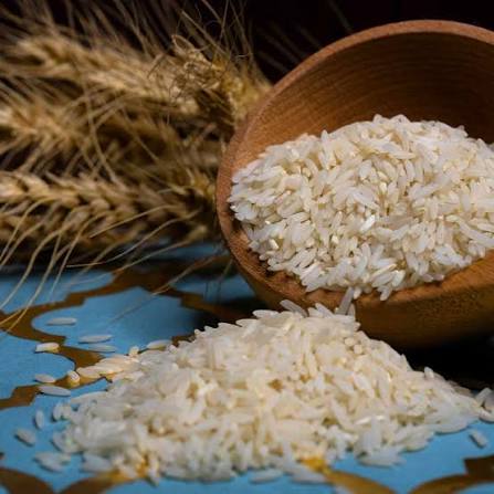 برنج شیرودی؛ ارزانترین برنج با پخت مشابه هاشمی