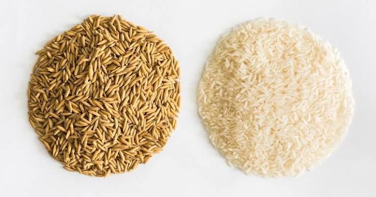 برنج سفید یا برنج قهوهای؛ کدام برای سلامتی بهتر است؟